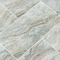 Msi Fantasy Brown SAMPLE Polished Floor And Wall Marble Tile ZOR-NS-0095-SAM - alternate 2